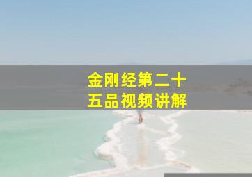 金刚经第二十五品视频讲解