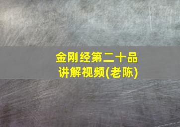 金刚经第二十品讲解视频(老陈)