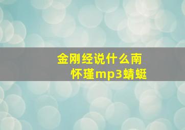 金刚经说什么南怀瑾mp3蜻蜓