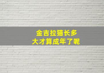 金吉拉猫长多大才算成年了呢