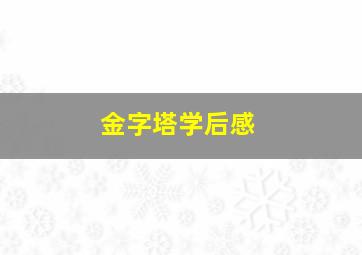 金字塔学后感