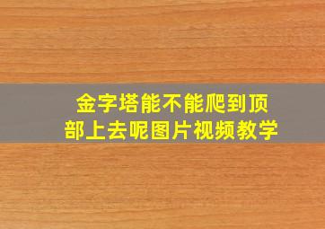 金字塔能不能爬到顶部上去呢图片视频教学