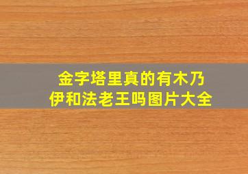 金字塔里真的有木乃伊和法老王吗图片大全