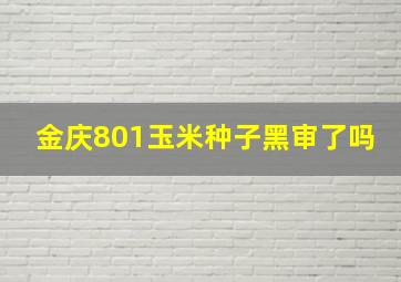 金庆801玉米种子黑审了吗