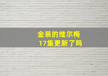 金装的维尔梅17集更新了吗