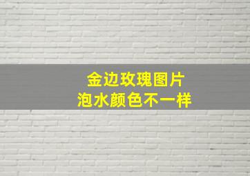 金边玫瑰图片泡水颜色不一样