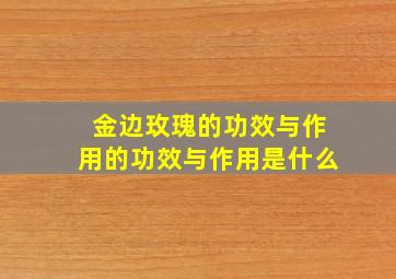 金边玫瑰的功效与作用的功效与作用是什么