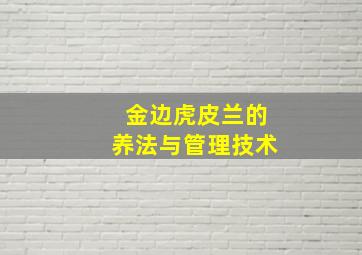 金边虎皮兰的养法与管理技术