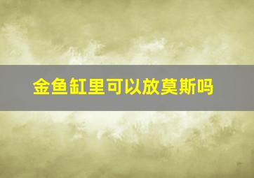 金鱼缸里可以放莫斯吗