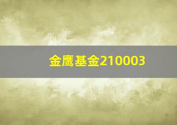 金鹰基金210003