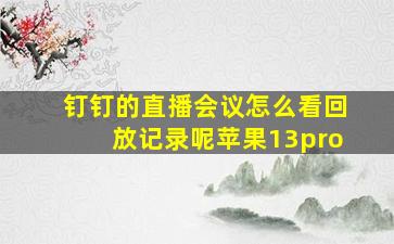 钉钉的直播会议怎么看回放记录呢苹果13pro