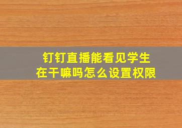 钉钉直播能看见学生在干嘛吗怎么设置权限