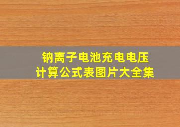 钠离子电池充电电压计算公式表图片大全集