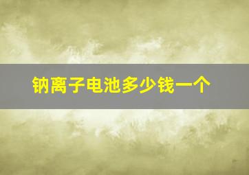 钠离子电池多少钱一个