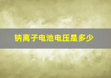 钠离子电池电压是多少