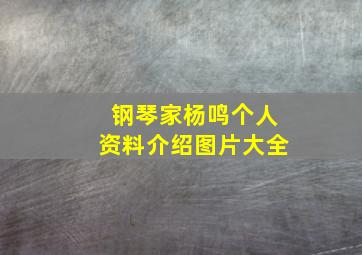 钢琴家杨鸣个人资料介绍图片大全