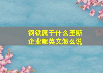 钢铁属于什么垄断企业呢英文怎么说