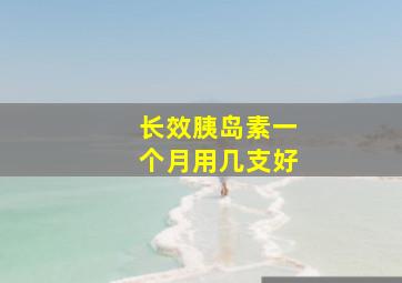 长效胰岛素一个月用几支好