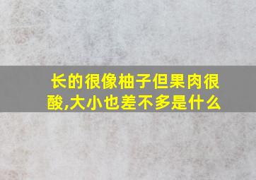 长的很像柚子但果肉很酸,大小也差不多是什么