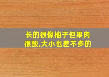 长的很像柚子但果肉很酸,大小也差不多的