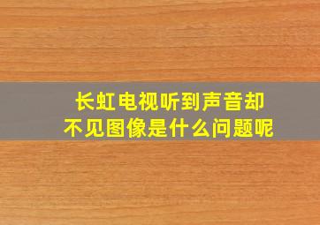 长虹电视听到声音却不见图像是什么问题呢