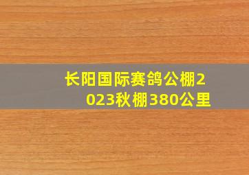 长阳国际赛鸽公棚2023秋棚380公里