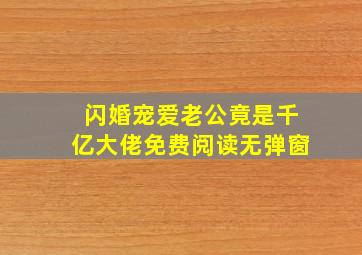 闪婚宠爱老公竟是千亿大佬免费阅读无弹窗