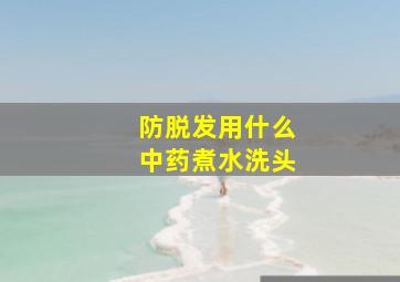 防脱发用什么中药煮水洗头