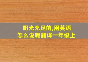 阳光充足的,用英语怎么说呢翻译一年级上