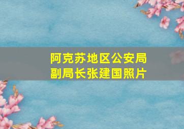 阿克苏地区公安局副局长张建国照片