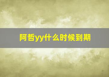 阿哲yy什么时候到期