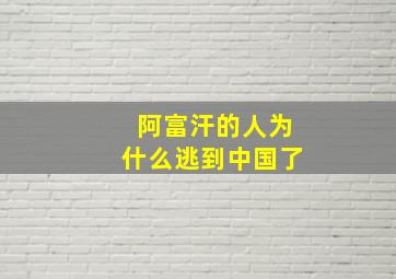 阿富汗的人为什么逃到中国了