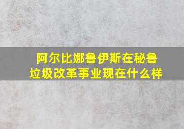 阿尔比娜鲁伊斯在秘鲁垃圾改革事业现在什么样