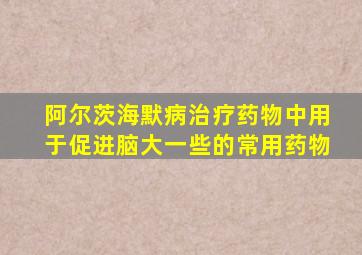 阿尔茨海默病治疗药物中用于促进脑大一些的常用药物