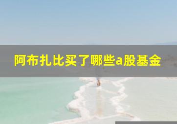 阿布扎比买了哪些a股基金