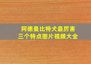 阿德曼比特犬最厉害三个特点图片视频大全