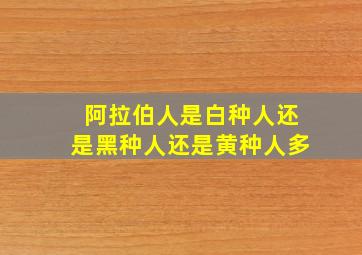 阿拉伯人是白种人还是黑种人还是黄种人多