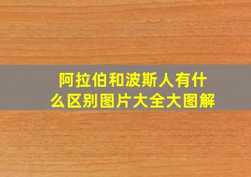 阿拉伯和波斯人有什么区别图片大全大图解