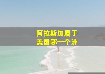 阿拉斯加属于美国哪一个洲