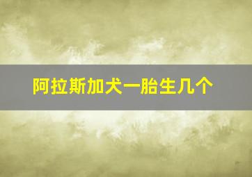 阿拉斯加犬一胎生几个