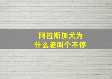 阿拉斯加犬为什么老叫个不停