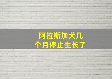 阿拉斯加犬几个月停止生长了