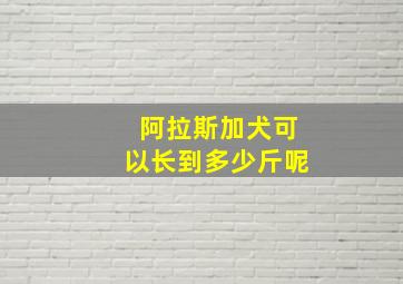 阿拉斯加犬可以长到多少斤呢