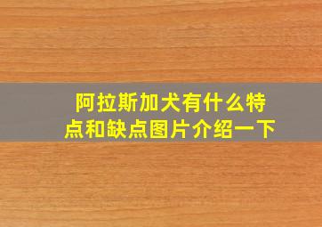 阿拉斯加犬有什么特点和缺点图片介绍一下