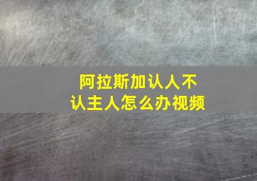 阿拉斯加认人不认主人怎么办视频