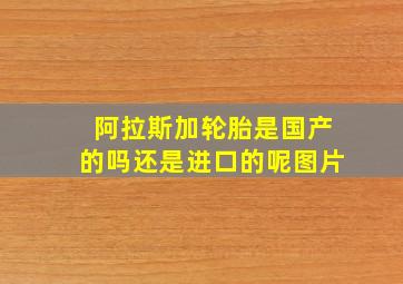 阿拉斯加轮胎是国产的吗还是进口的呢图片