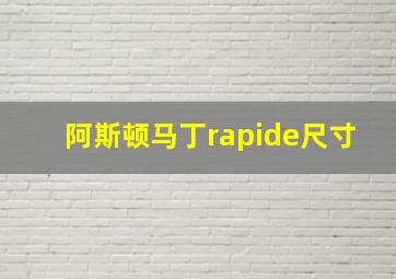 阿斯顿马丁rapide尺寸