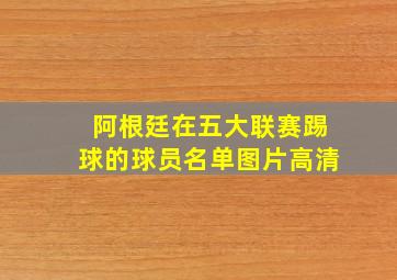 阿根廷在五大联赛踢球的球员名单图片高清