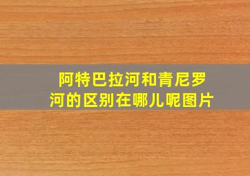 阿特巴拉河和青尼罗河的区别在哪儿呢图片