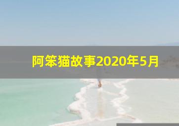 阿笨猫故事2020年5月